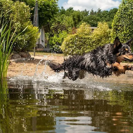 Seeresidenz Am Muehlensee بيت للعطل *