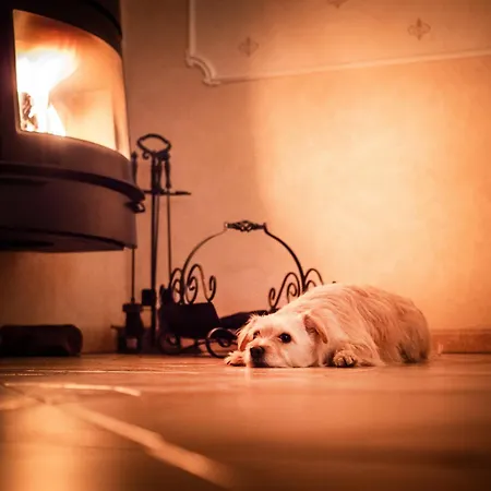 Seeresidenz Am Muehlensee *