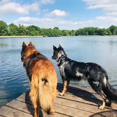 Seeresidenz Am Muehlensee *
